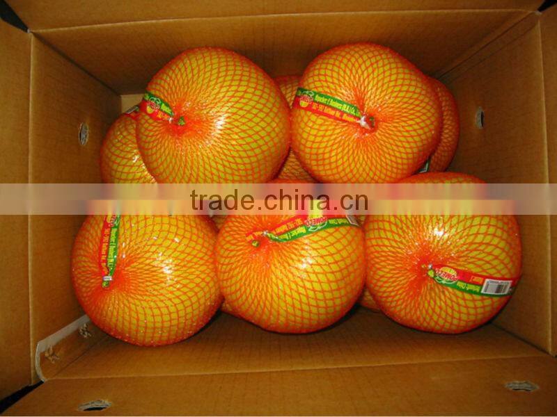 Fresh GuanXi top grade pomelo