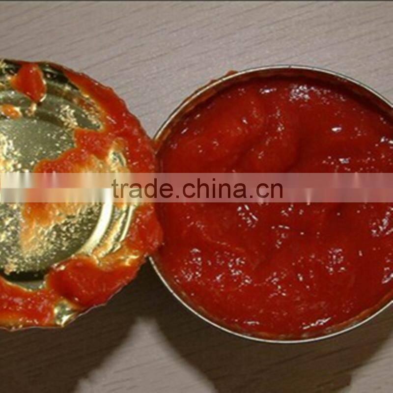 tomato sauce factory specification tomato sauce