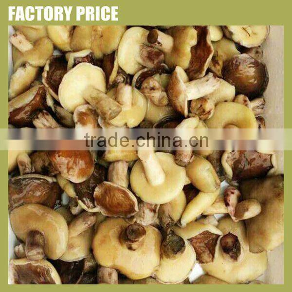 high quality salty flavor slice mushroom