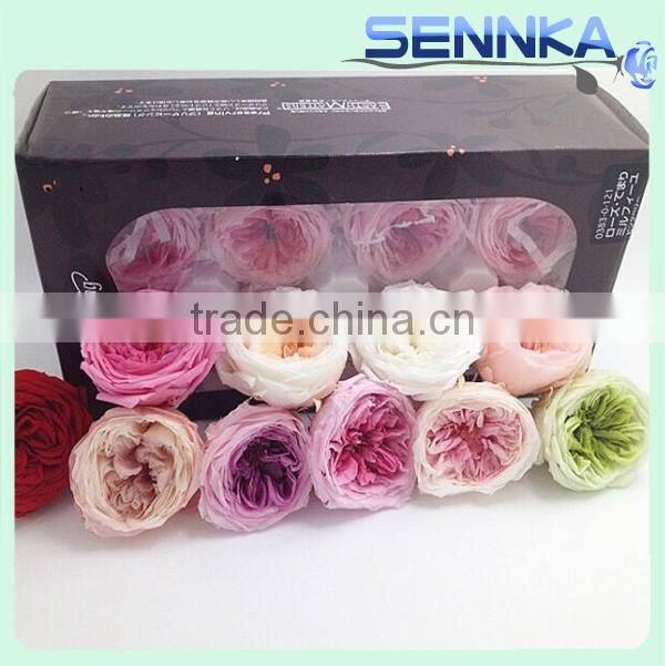 Fresh cut roses Preserved Fresh Flower Asuting Rose For Wedding Decoration