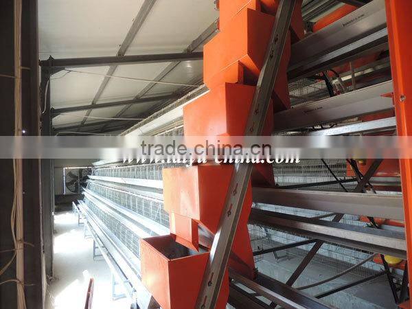 TAIYU Layer Poultry Equipments Guangzhou for Chicken Farm