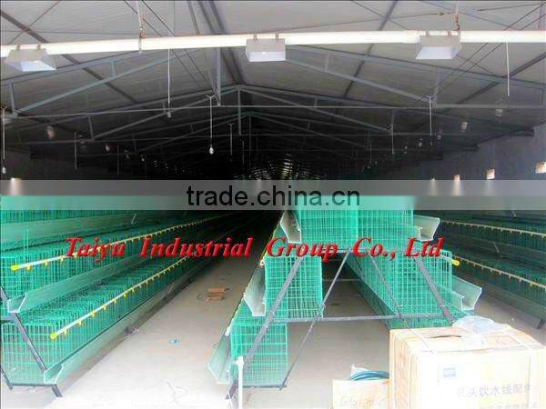 TAIYU-4 3 tier-A type egg laying chicken cage (Export standard battery cage system)
