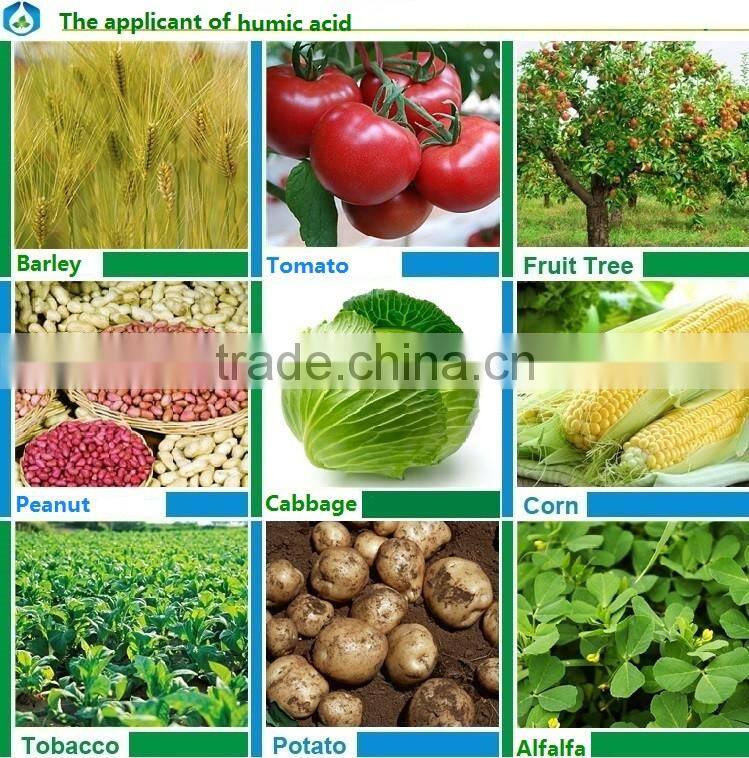 plant growth promoting manufacuring NPK compound agriculture fertilizer