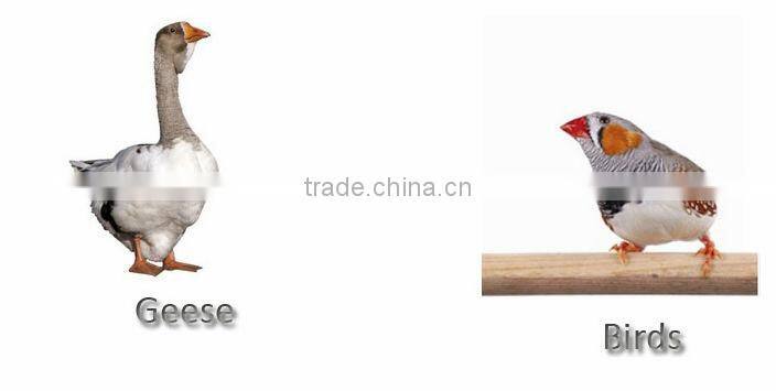 HHD CE approved 48 eggs incubator best-selling 48 eggs incubator/automatic mini incubator