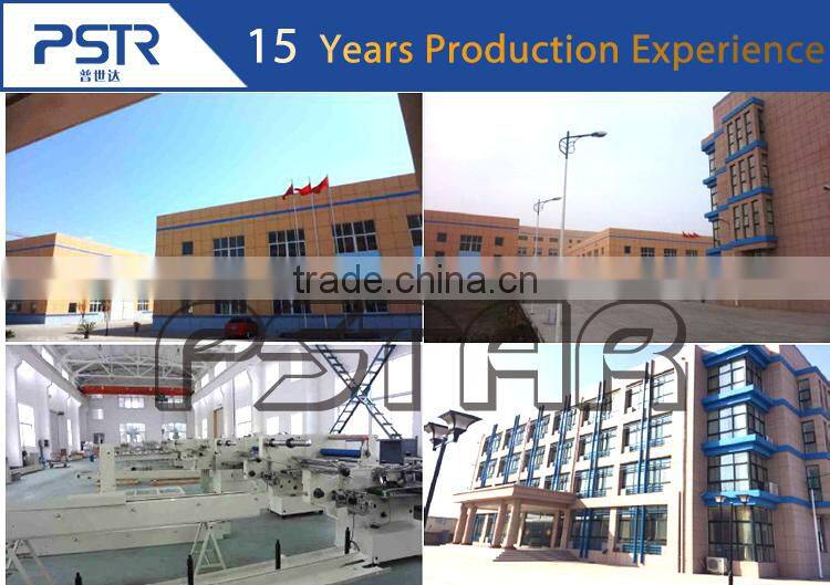 AUTOMATIC TRIANGLE TEA BAG PACKING MACHINE