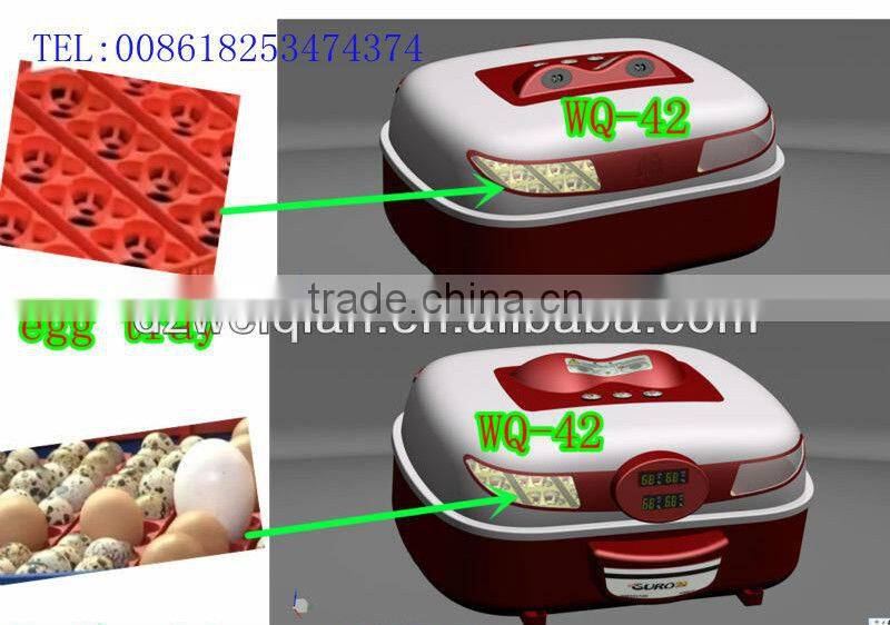 Unique new type MINI incubator WQ-42 pre-sale