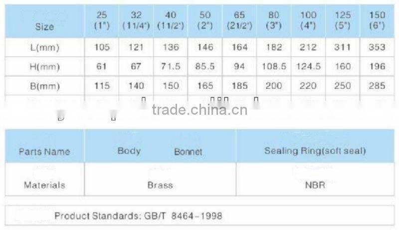 Brass Swing Check Valve-2