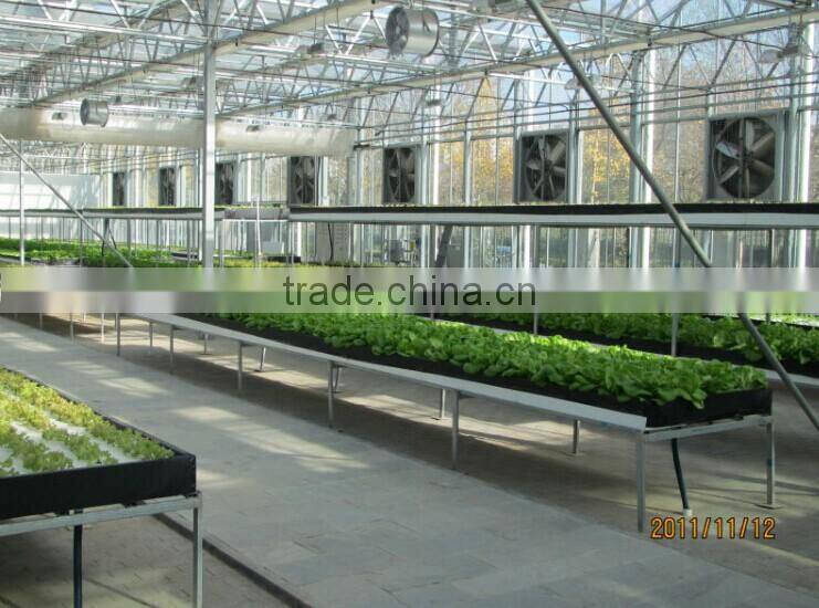 Galvanized Industrial Workshop Greenhouse Wall Mounted Exhaust r Fan