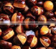 Electric double-head Chestnut Roaster Machine EB-460-2 0086-13632272289