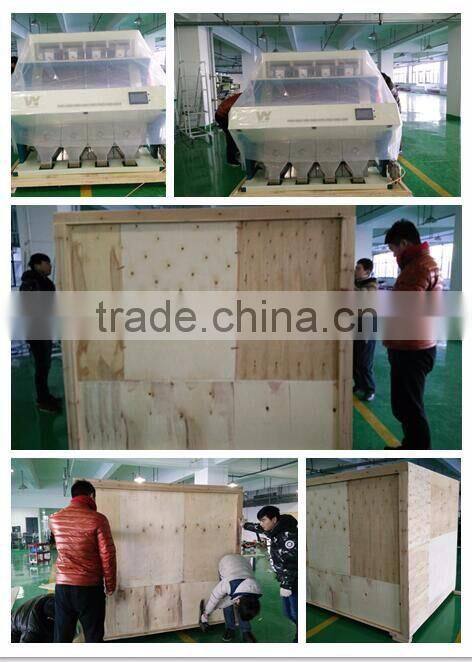 New Condition Peeled Garlic color sorter machinery selling from the factory in Hefei