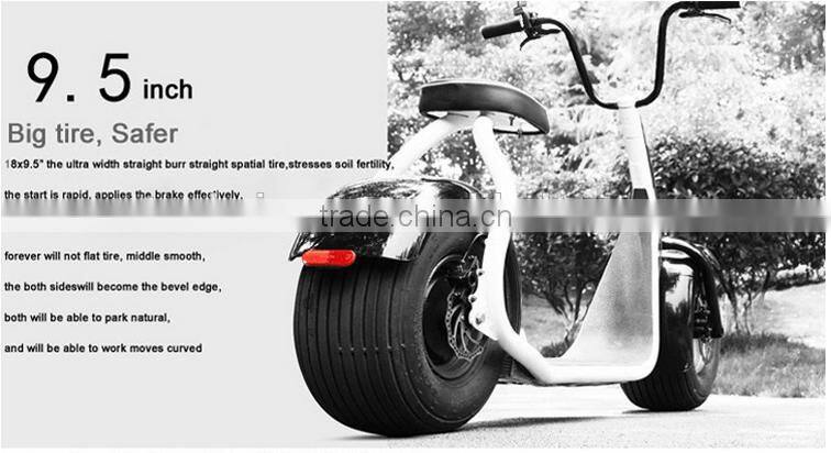 Fahshion 800W/1000W Brushless motor Adult Electric Scooter, 2 Wheels Electric scooter (TKE-S800)