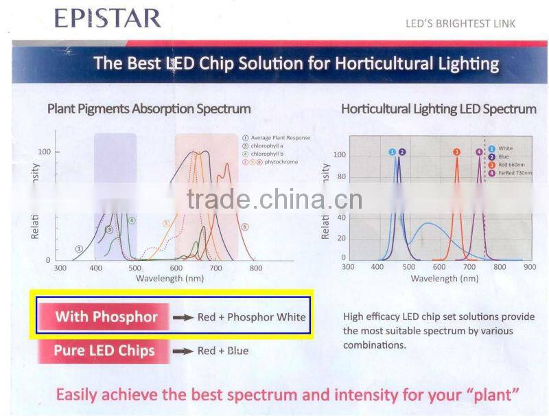 Vanq classical 8years 300W COB LED grow light for hydroponic systems