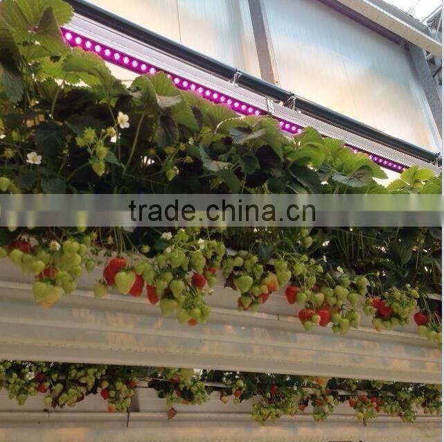 Waterproof IP65 36w cheap grow lights for indoor plants