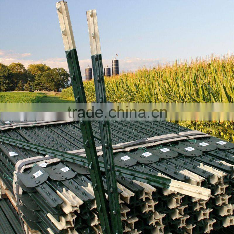 Cheap Galvanized Used Steel Fence T Post For Sale(Factory)
