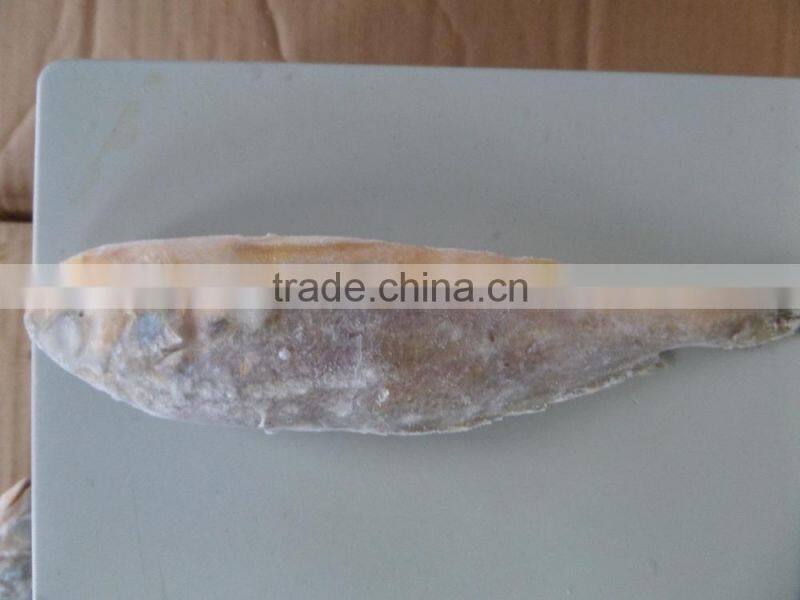 Frozen Yellow Croaker 75/100 g/pc