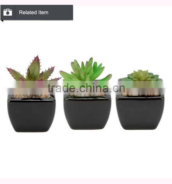 Artificial mini aloe little plants succulents plants artificial mini succulents