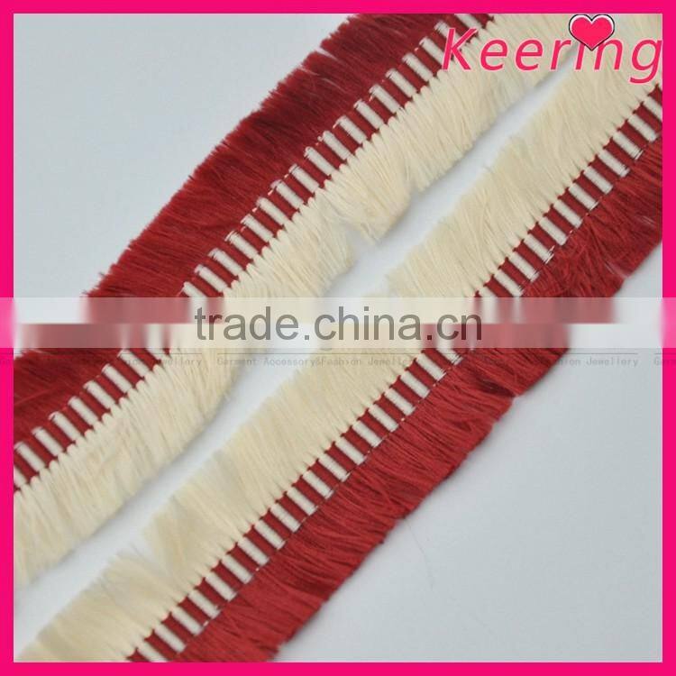 Hot sale tassel fringe trimming for decoration WTPB-195