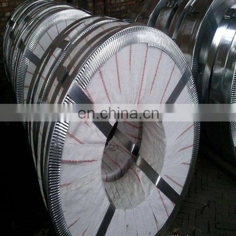 Galvanized Steel Strip For Roller Door