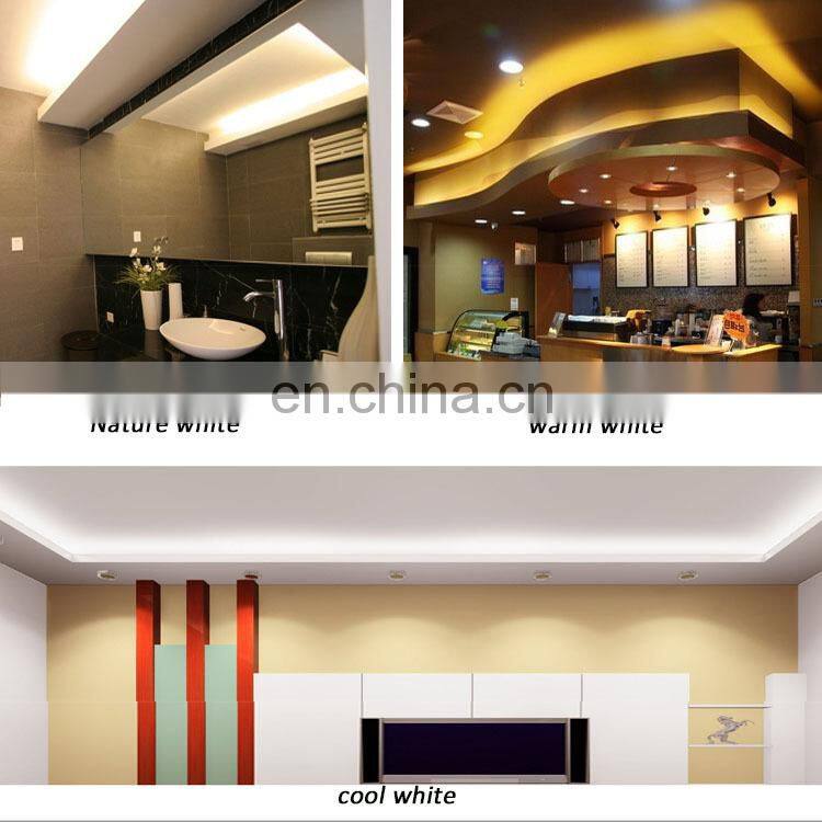 3528 bi-color smd led tape light double color led strip waterproof for outdoor lighting