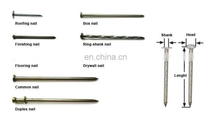 Aluminum Material Roofing Coil Nails Galvanized Surface Roofing Nail Fastener