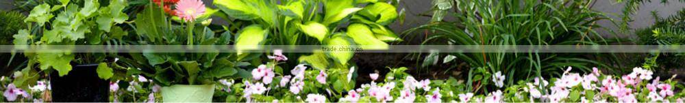 (93698) 8L/12L Garden electrical 6V lead-acid lithium Battery sprayer