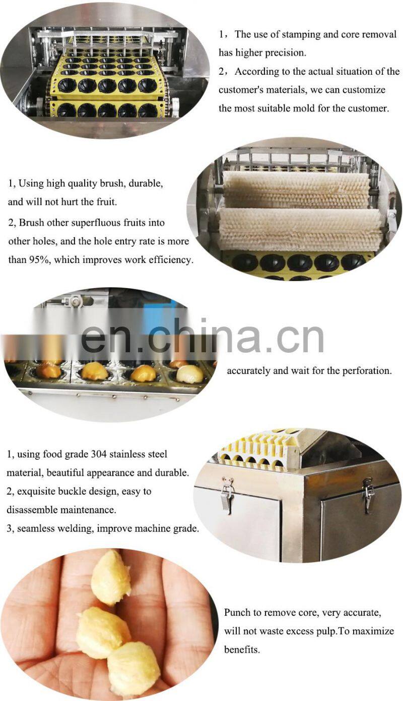 Best quality fruit litchi chinensis kernel remover pitting remove machine