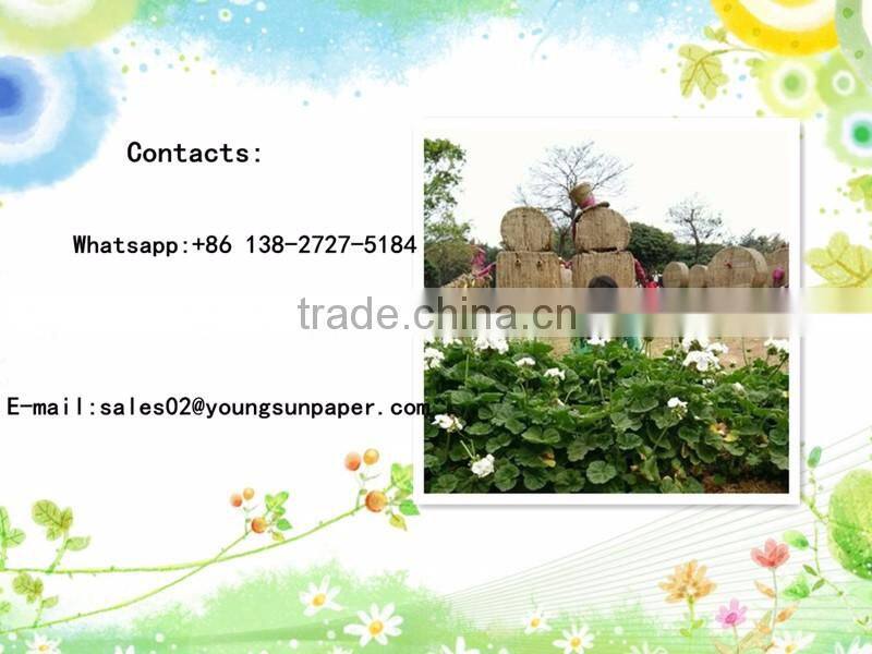 Manufacture Stocklot 350gsm Black Paper