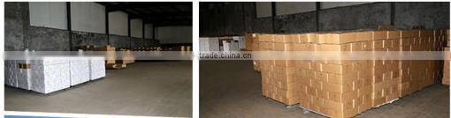 Natural wasabi powder in can best for storage