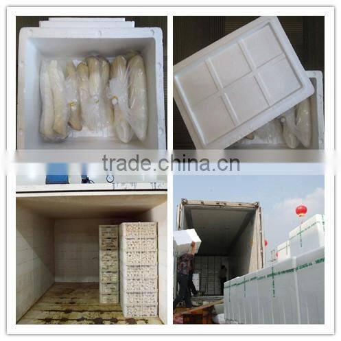 2014 fresh Pleurotus Eryngii for sale