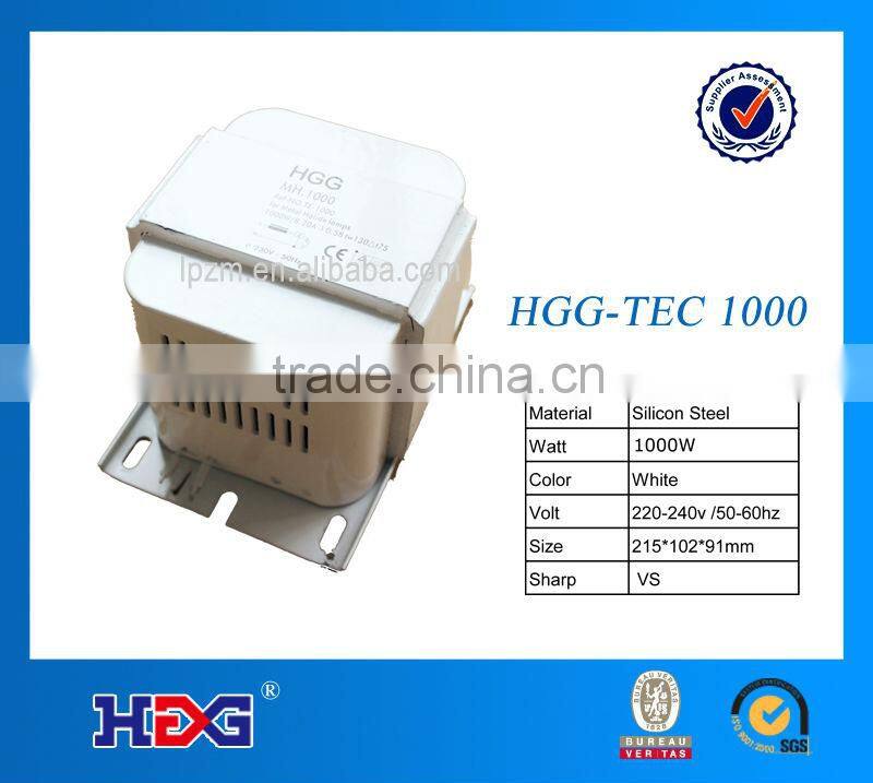 1000W Supplier of Magnetic chock