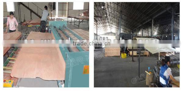 Rotary 1.5mm hardwood veneer