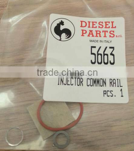 Repair Kits 2417010001 for fuel pump 800001