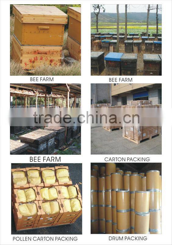 Lyophilized Larva Powder