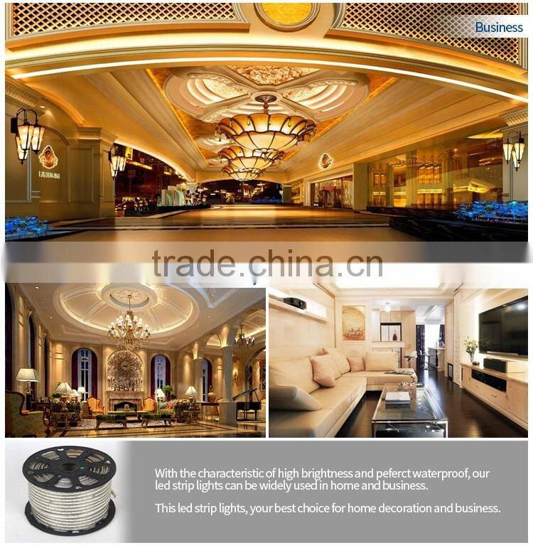high voltage led strip light kit SMD 5050 IP65 waterproof strip light