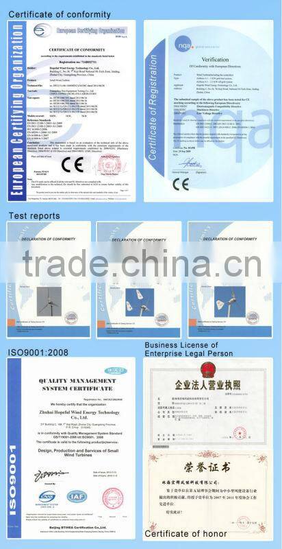 1KW High efficiency Variable Pitch Wind Turbine electric generating windmills for sale