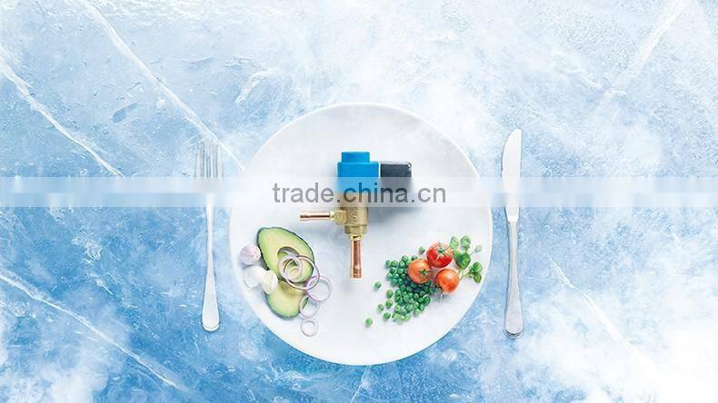 cheap Model EVR15 Solenoid Valve