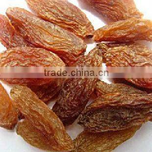 Hot Sale Zante Currant