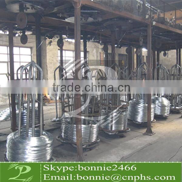 Black annealed iron wire(factory & trader)