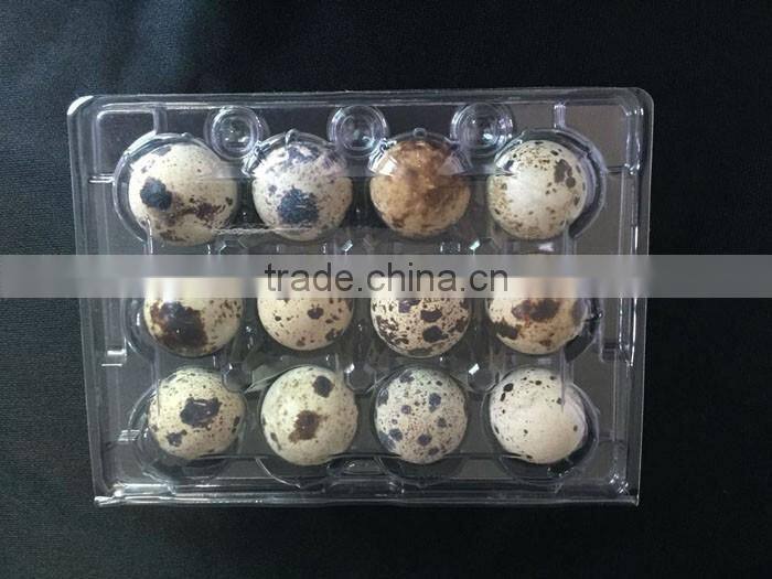 OUCHEN wholesale high quality plastic quail egg cartons tray packaging 12 18 20 24 30 holes for sale