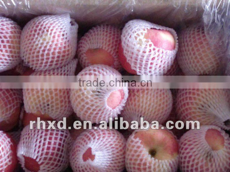 fuji apple of apple varieties