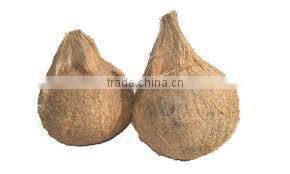 Husked coconuts from tamilnadu