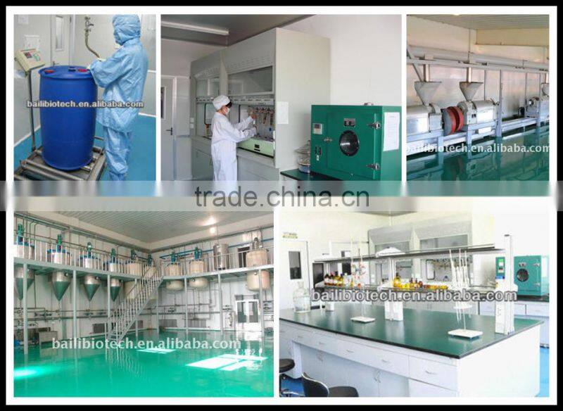 100% pure Pumpkin Seed Oil for sale