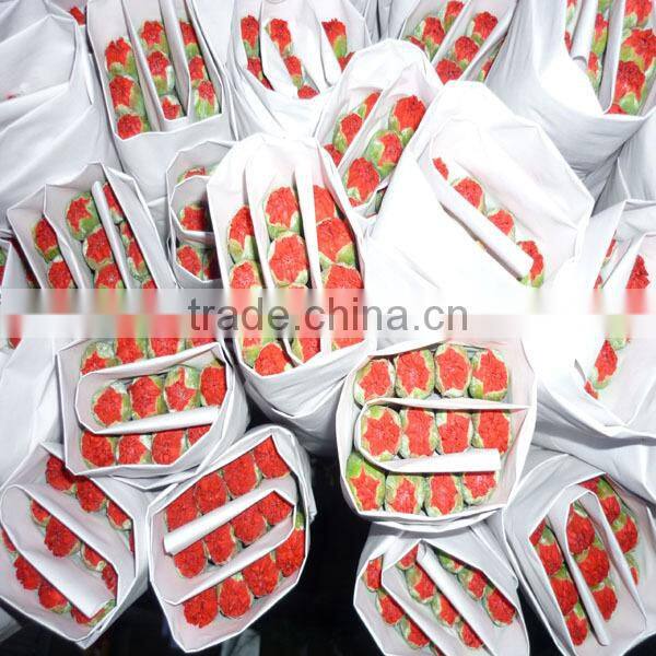 low price fresh carnation flower for wholesale