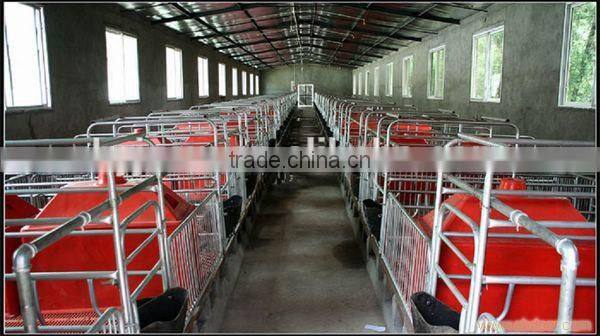 Pig Farming Equipment For Pig Farrow Crates
