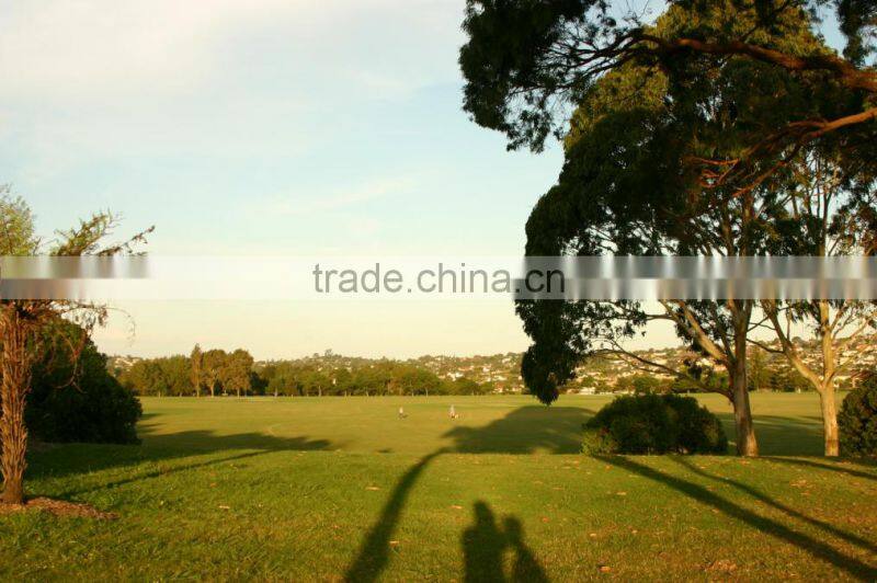 New design outdoor steel storage box for sale