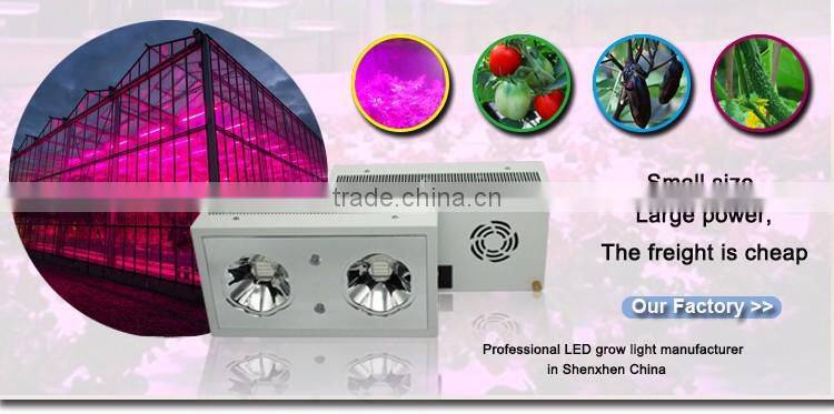 Zeus Led Grow Light Reviews Uv Led Grow Lights For Aquaponics