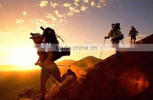 3 Section alumium Alpenstocks