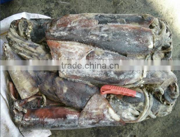 peru squid style fish scale