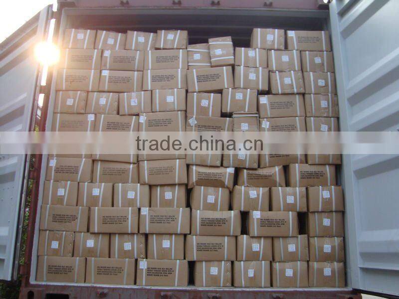 DIN7504 240mm length Self Drilling Screw