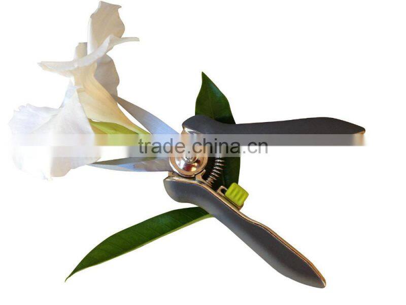 Amazon popular Fruit Tree flower Pruner shear